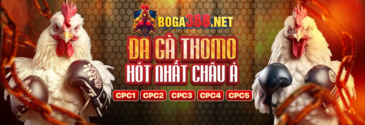 Hình ảnh đại diện cho các điều khoản và điều kiện của FC88 WIN